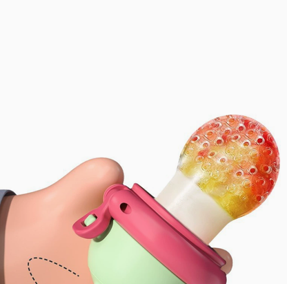 Baby Fruit Feeder Teething Stick